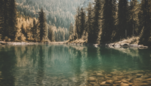 Featured image for: How To Best Filter Lake Water For Safe Clean Drinking